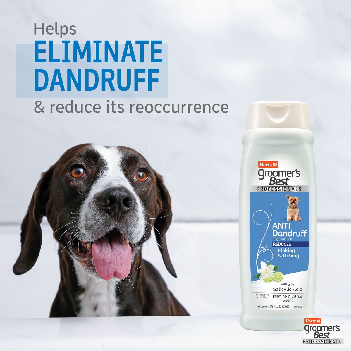Veterinary Formula Best Dog Shampoo For Dry Skin At Walmart HARTZ