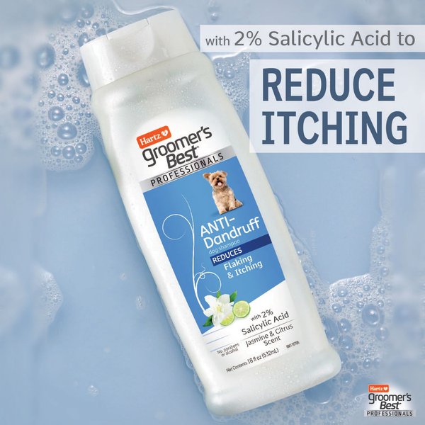 Grooming Supplies Hartz Groomer's Best Cat Shampoo HARTZ