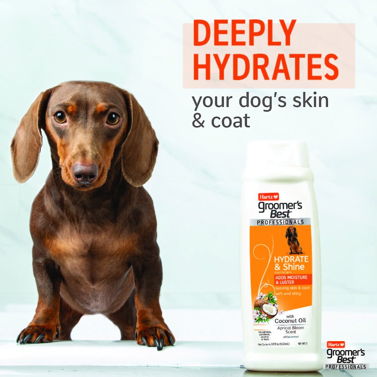 Hartz Groomer's Best Professionals Hydrate & Shine with Coconut Oil & Apricot Bloom Scent Dog Shampoo
