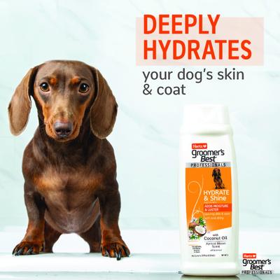 Show full view: Hartz Groomer's Best Professionals Hydrate & Shine with Coconut Oil & Apricot Bloom Scent Dog Shampoo, 18-fl oz bottle slide 4 of 10