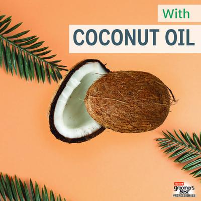 Show full view: Hartz Groomer's Best Professionals Hydrate & Shine with Coconut Oil & Apricot Bloom Scent Dog Shampoo, 18-fl oz bottle slide 5 of 10