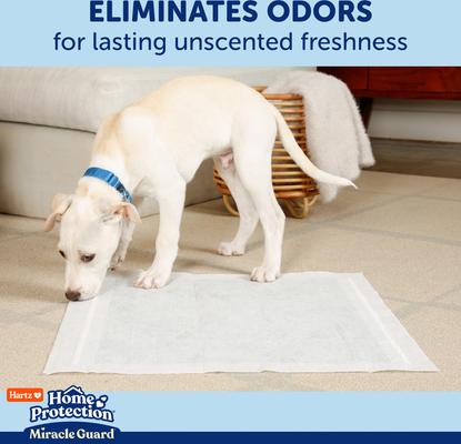 Show full view: Hartz Miracle Guard Max Absorbency Odor Eliminating Dog Pads, Regular, 25 count slide 5 of 11
