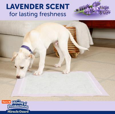 Show full view: Hartz Miracle Guard Lavender Scented Max Absorbency Odor Eliminating Dog Pads, XX-Large, 20 count slide 5 of 10