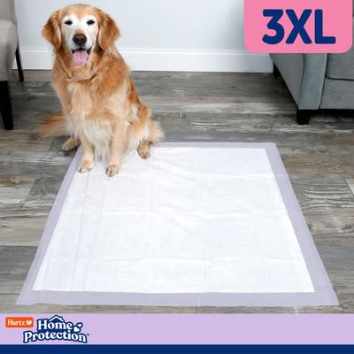 Show full view: Hartz Home Protection No Odor No Leaks Lavendar Scented 3X-Large Dog Pads, 36 x 36-in, 14 count slide 7 of 11