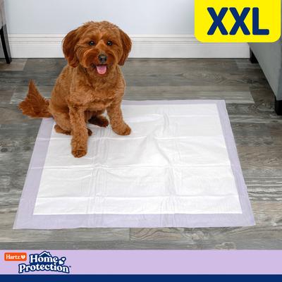 Show full view: Hartz Home Protection No Odor No Leaks Lavender Scented XX-Large Dog Pads, 30 x 30-in, 80 count slide 6 of 10