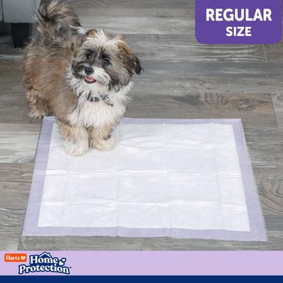 Show full view: Hartz Home Protection Odor Eliminating Dog Pee Pads, 21 x 21-in, 50 count slide 6 of 10