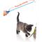 Show in main carousel: Hartz Just for Cats Kitty Caster Cat Wand Toy with Catnip, Color Varies slide 5 of 12