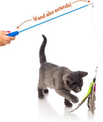 Show full view: Hartz Just for Cats Kitty Caster Cat Wand Toy with Catnip, Color Varies slide 5 of 12