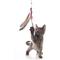 Show in main carousel: Hartz Just for Cats Kitty Caster Cat Wand Toy with Catnip, Color Varies slide 6 of 12