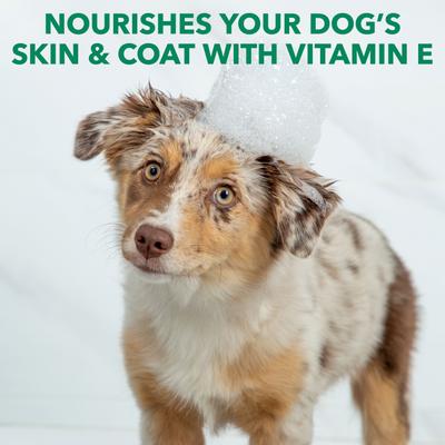 Show full view: Hartz Nature's Shield Natural Flea & Tick Dog Shampoo, 14-fl oz bottle slide 6 of 8