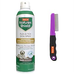 Hartz Nature's Shield Natural Flea & Tick Dog Spray + Groomer's Best Flea Comb for Dogs & Cats