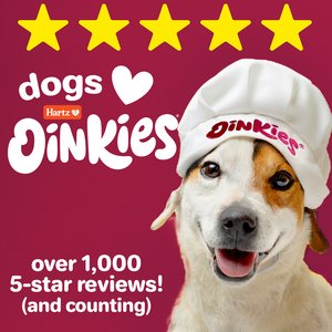 Hartz Oinkies Hearty Kabobs with 100% Real Chicken & Duck Carrot & Sweet Potato Rawhide-Free Natural Dog Treats, 18 count