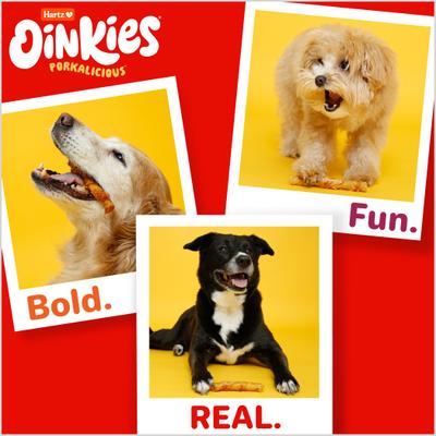 Show full view: Hartz Oinkies Sizzling Twists with 100% Real Smoked Pork Bacon Flavored Rawhide-Free Natural Dog Treats, 8 count slide 10 of 12