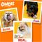 Show in main carousel: Hartz Oinkies Tender Bullies Rawhide-Free Natural Chew Dog Treats, 20 count, bundle of 2 slide 9 of 12