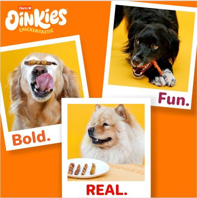 Show full view: Hartz Oinkies Tender Bullies Rawhide-Free Natural Chew Dog Treats, 20 count, bundle of 2 slide 9 of 12