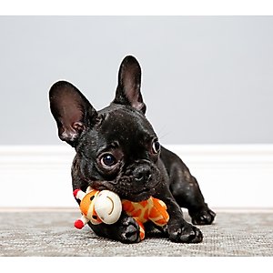 Hartz Tiny Dog Jungle Squeaky Plush Dog Toy, Character Varies, 1 count