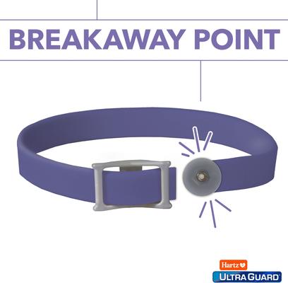 Hartz UltraGuard Flea & Tick Collar for Cats