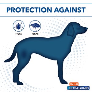 Hartz UltraGuard Flea & Tick Collar for Dogs, up to 26" Neck, 1 Collar (7-mos. supply)