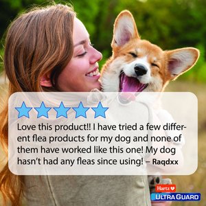 Hartz UltraGuard Flea & Tick Collar for Dogs, up to 26" Neck, 1 Collar (7-mos. supply)