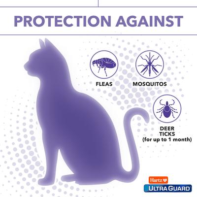 Show full view: Hartz UltraGuard Flea & Tick Spot Treatment for Cats, over 5 lbs, 3 Doses (3-mos. supply) slide 4 of 11
