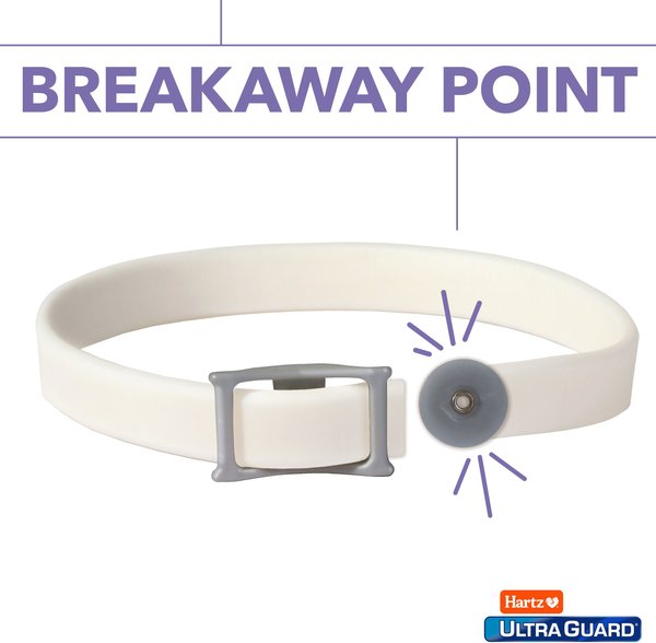 Show full view: Hartz UltraGuard Plus Flea & Tick Collar for Cats, 1 Collar (7-mos. supply) slide 4 of 12