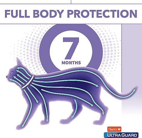 Show full view: Hartz UltraGuard Plus Flea & Tick Collar for Cats, 1 Collar (7-mos. supply) slide 6 of 12