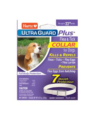 Show full view: Hartz UltraGuard Plus Flea & Tick Collar for Dogs, Medium & Large Breeds, 1 Collar (7-mos. supply) slide 1 of 9