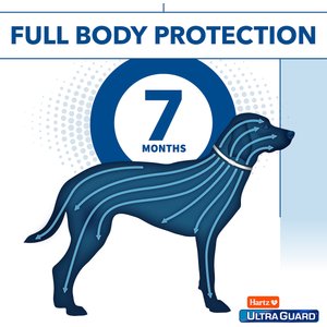 Hartz UltraGuard Plus Flea & Tick Collar for Dogs, Medium & Large Breeds, 1 Collar (7-mos. supply)