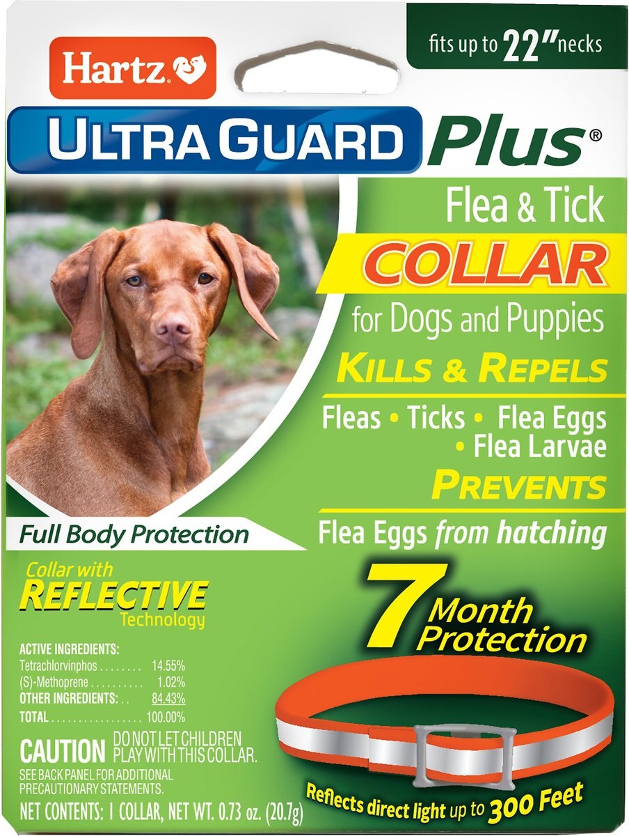 Hartz UltraGuard Flea & Tick Collar for Dogs, Extra Small/Toy, Small, Medium & Large Breeds