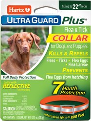 Hartz UltraGuard Plus Flea & Tick Collar for Dogs, Medium & Large Breeds, 1 Collar (7-mos. supply)