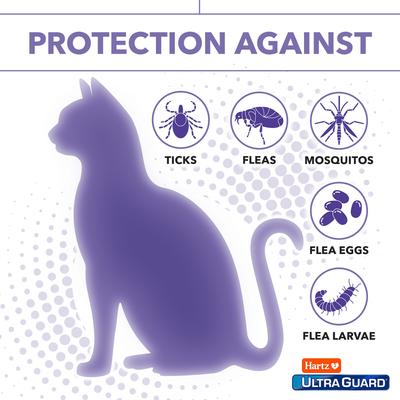 Show full view: Hartz UltraGuard Plus Flea & Tick Spot Treatment for Cats, over 5 lbs, 3 Doses (3-mos. supply) slide 4 of 12