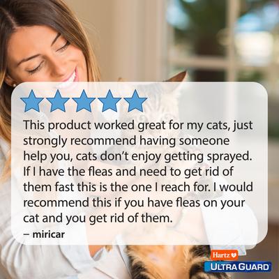 Show full view: Hartz UltraGuard Plus Flea & Tick Spray for Cats, 8-fl oz bottle slide 5 of 8