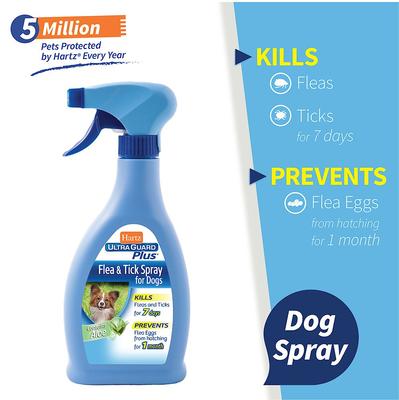 Show full view: Hartz UltraGuard Plus Topical Flea & Tick Spray for Dogs, 16-fl oz bottle slide 3 of 9