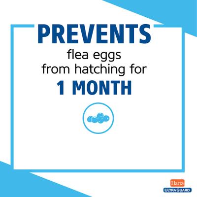 Show full view: Hartz UltraGuard Plus Topical Flea & Tick Spray for Dogs, 16-fl oz bottle slide 5 of 9