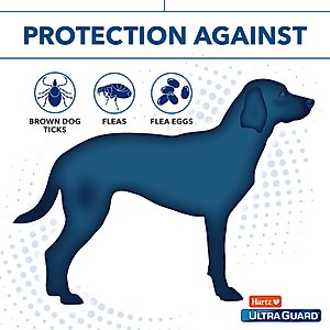 Hartz UltraGuard Pro Flea & Tick Dog Shampoo, 18-fl oz bottle