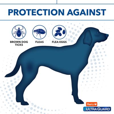 Show full view: Hartz UltraGuard Pro Flea & Tick Dog Shampoo, 18-fl oz bottle slide 3 of 12