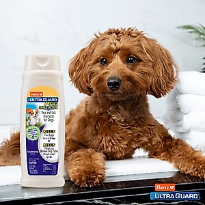 Hartz UltraGuard Pro Flea & Tick Dog Shampoo, 18-fl oz bottle