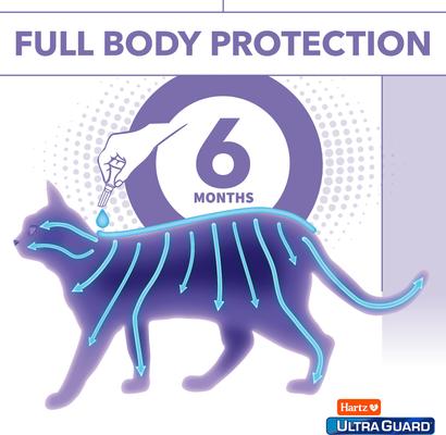 Show full view: Hartz UltraGuard Pro Flea & Tick Spot Treatment for Cats, over 5 lbs, 6 Doses (6-mos. supply) slide 5 of 13