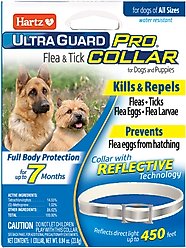Hartz UltraGuard Pro Reflecting Flea & Tick Collar for Dogs & Puppies, 1 Collar (7-mos. supply) + Nature's Shield Natural Flea & Tick Home Spray slide 2 of 9