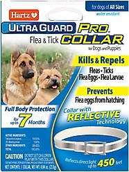 Hartz UltraGuard Pro Reflecting Flea & Tick Collar for Dogs & Puppies, 1 Collar (7-mos. supply)