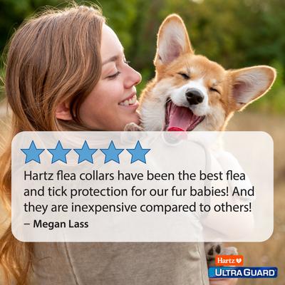 Show full view: Hartz UltraGuard Pro Reflecting Flea & Tick Collar for Dogs & Puppies, 1 Collar (7-mos. supply) slide 8 of 14