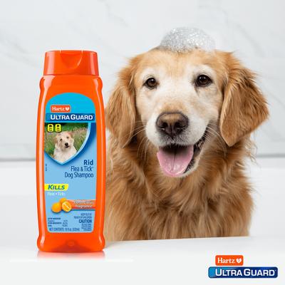 Show full view: Hartz UltraGuard Rid Flea & Tick Citrus Scent Dog Shampoo, 18-fl oz bottle slide 4 of 8
