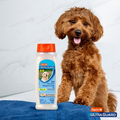 Show full view: Hartz UltraGuard Rid Flea & Tick Oatmeal Dog Shampoo, 18-fl oz bottle slide 4 of 10