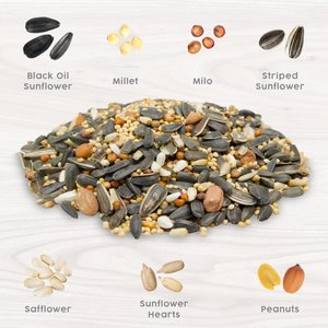 Harvest Seed & Supply Birder's Medley Corn Free Wild Bird Food, 10-lb bag