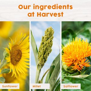 Harvest Seed & Supply Birder's Medley Corn Free Wild Bird Food, 10-lb bag