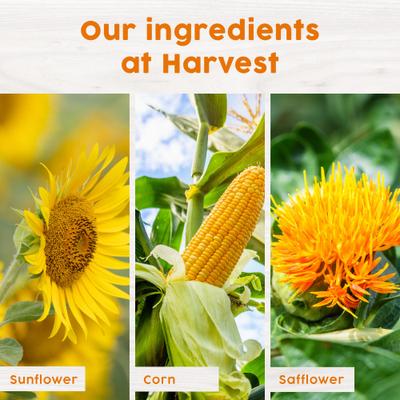 Show full view: Harvest Seed & Supply Hot Pepper Snack Stack Wild Bird Food, 9-oz cake, 6 count slide 5 of 10