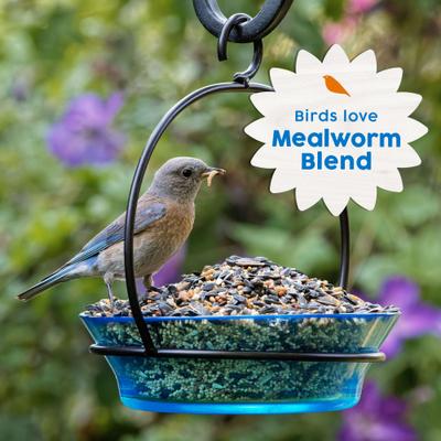 Show full view: Harvest Seed & Supply Mealworm Corn Free Wild Bird Food, 10-lb bag slide 7 of 10