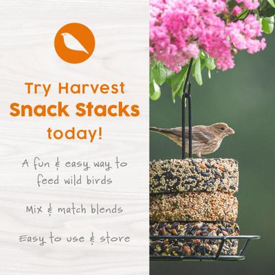 Show full view: Harvest Seed & Supply Mealworm Snack Stack Corn Free Wild Bird Food, 9-oz cake, 6 count slide 2 of 9