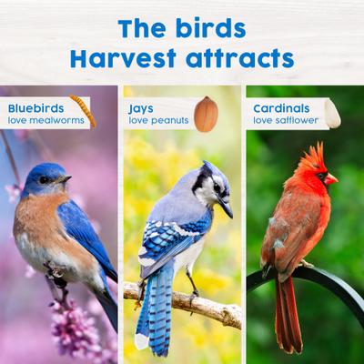 Show full view: Harvest Seed & Supply Mealworm Snack Stack Corn Free Wild Bird Food, 9-oz cake, 6 count slide 6 of 9