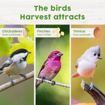 Show full view: Harvest Seed & Supply No Waste Corn Free Wild Bird Food, 10-lb bag, bundle of 3 slide 6 of 10